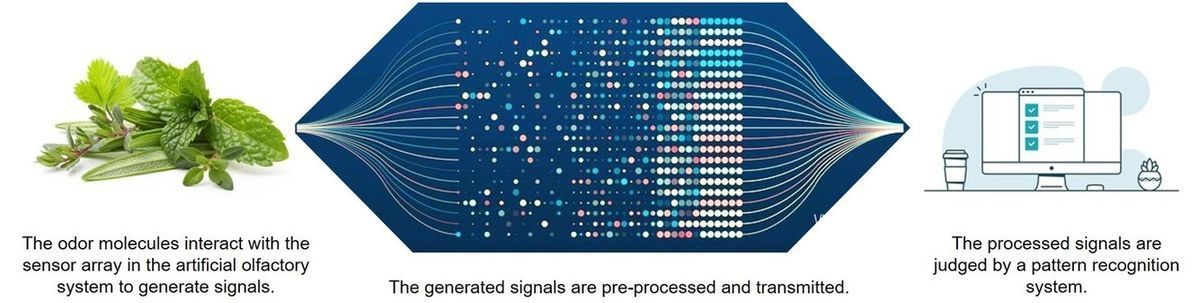 Herb odor characterization detection – Lifeasible