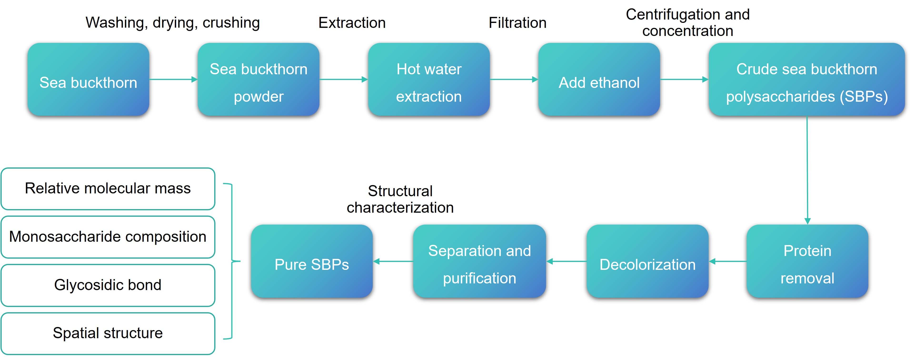 Preparation and structural characterization of SBPs – Lifeasible