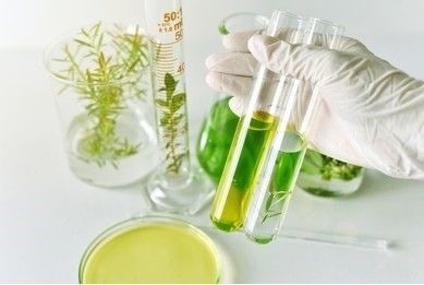 Testing for heavy metals in herbal medicines