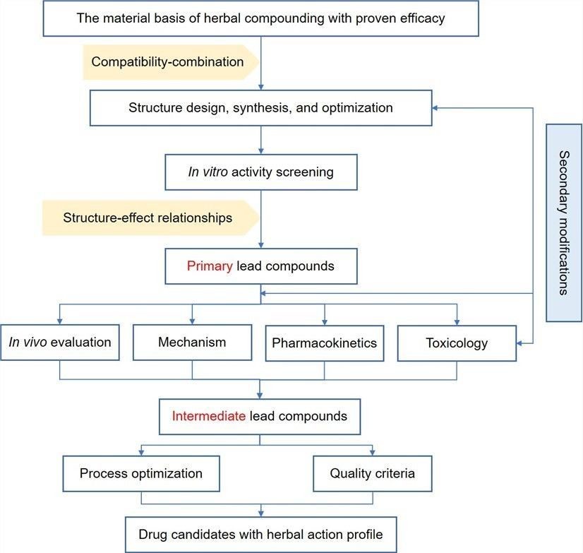 Schematic diagram of a new drug development model based on compatibility-combination theory – Lifeasible