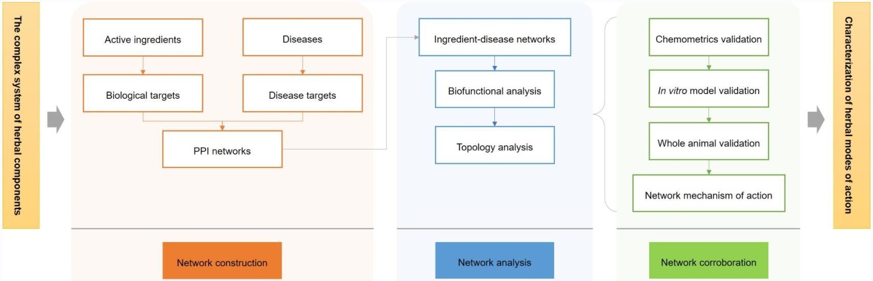 Figure 1. The basic idea of using network pharmacology to study the mode of action of herbs - Lifeasible