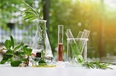 Identification of herbal medicines authenticity