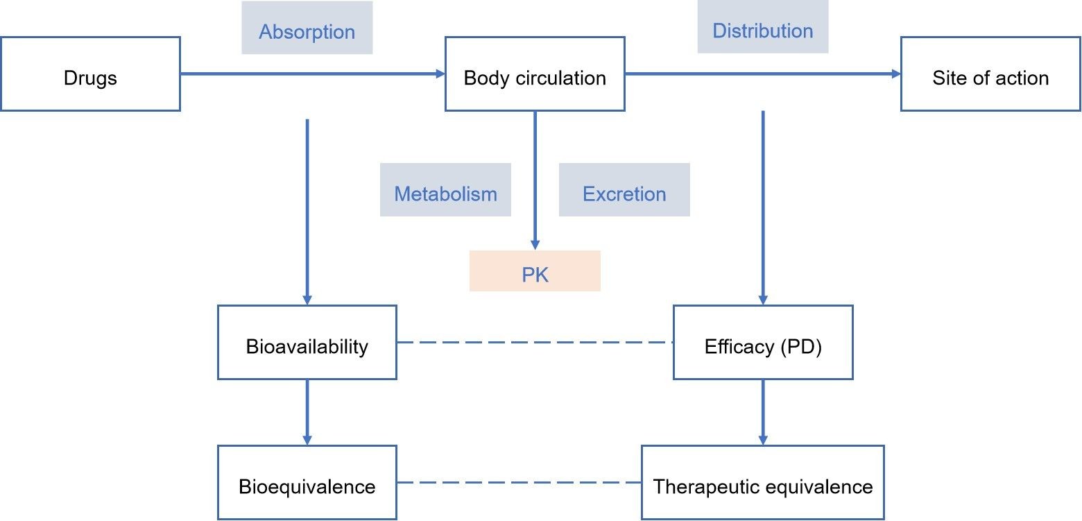 Research ideas of bioequivalence - Lifeasible