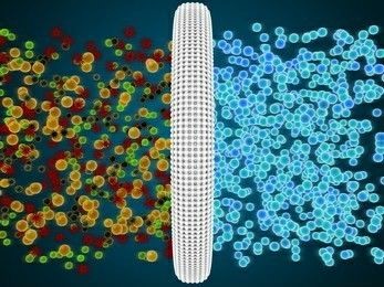 Microfiltration membranes for herbal purification