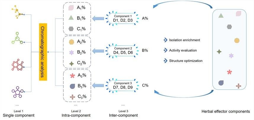 Figure 1. Multi-dimensional structure in three levels of herbal medicines.