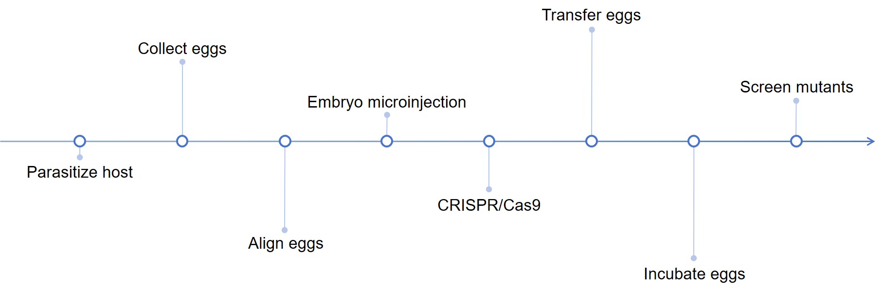 Technical process of gene editing in Harpegnathos saltator - Lifeasible