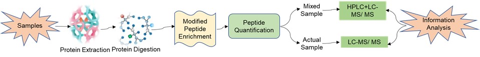 Fig 2. Service flow for quantification of protein phosphorylation modifications 4D-DIA unlabelled-Lifeasible.