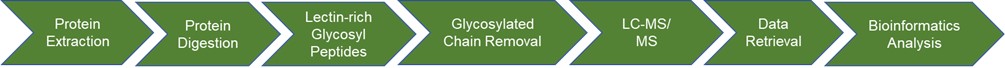 Fig 1. Service flow for glycosylation analysis of insect proteins- Lifeasible.