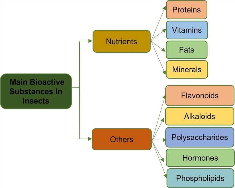 Fig 1. Main bioactive substances in insects-Lifeasible.