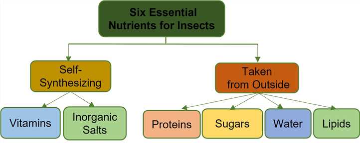 Fig 1. Six essential nutrients for insects-Lifeasible.