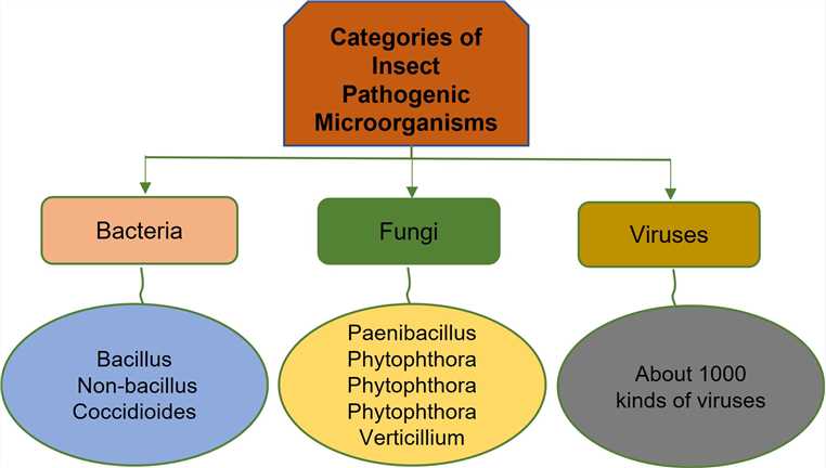 Fig 1. Categories of insect pathogenic microorganisms-Lifeasible.