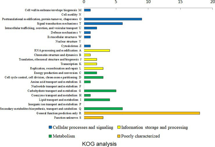 KOG functional analysis of 2-fold upregulated genes under blue light conditions.