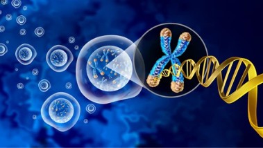 Mushroom Multi-Omics Cojoint Analysis Service