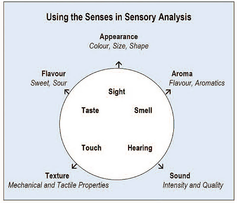 Food Sensory Analysis Lifeasible