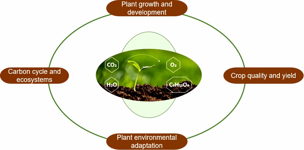 Fig.1 Plant carbon metabolism analysis.