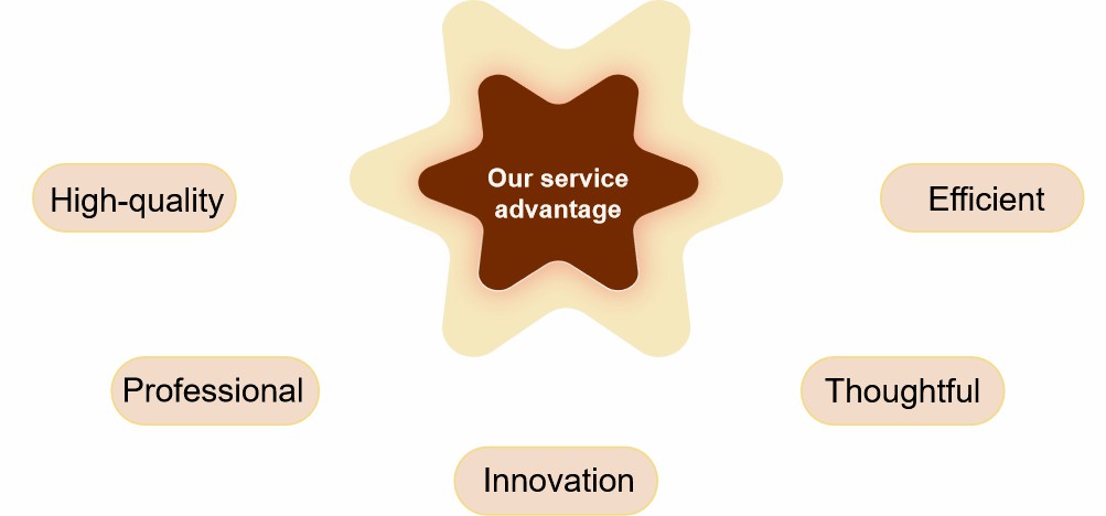 Fig.2 Advantages of our service.