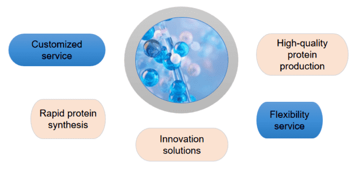 Fig.2 Why choose us for cell-free protein expression.