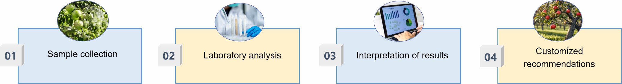 Fig.2 Fruit tree reserves determination.