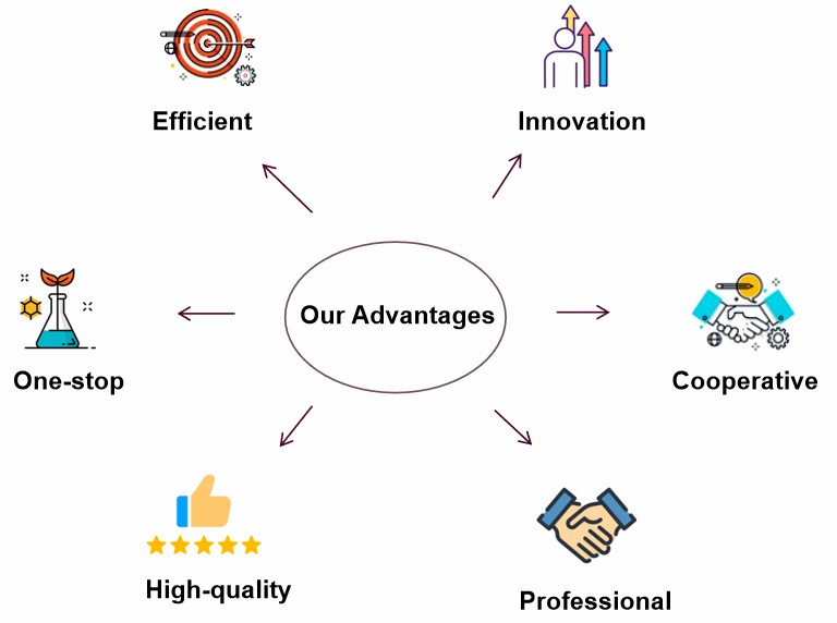 Fig. 2. Why choose us - Lifeasible