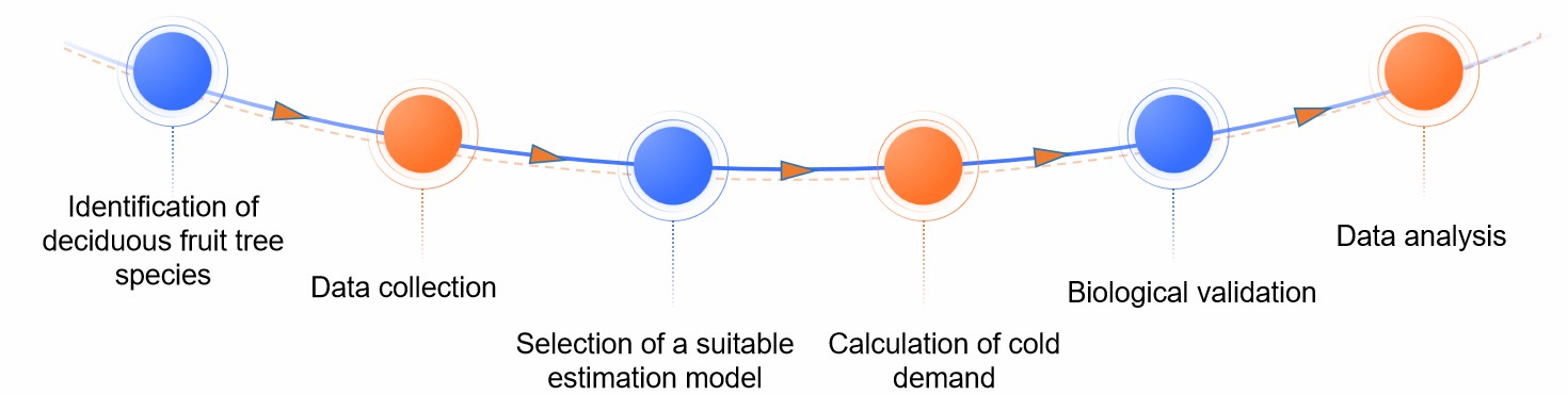 Fig.2 Our service workflow.