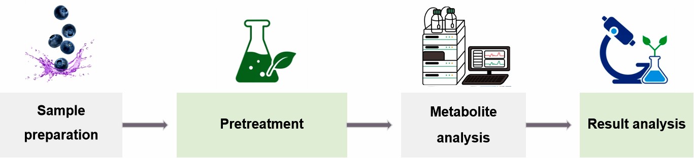 Fig.2 Process of fruit antioxidant metabolites determination.