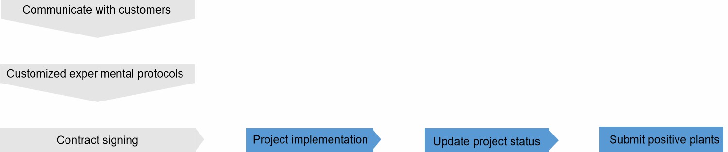 Fig. 2. Our service workflow.