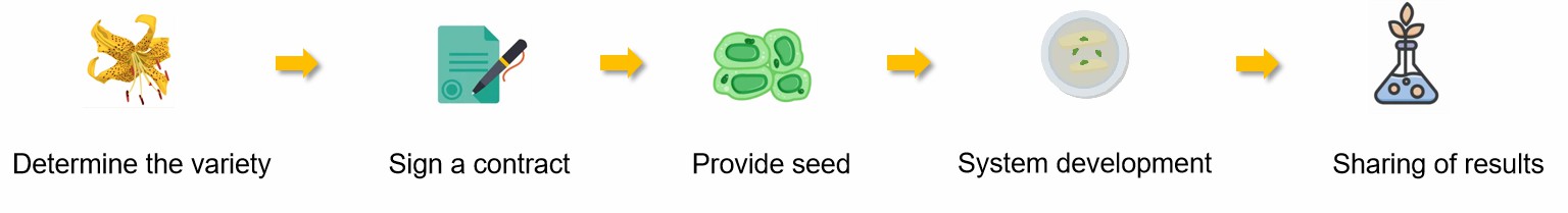 Fig. 2. Our service workflow - Lifeasible