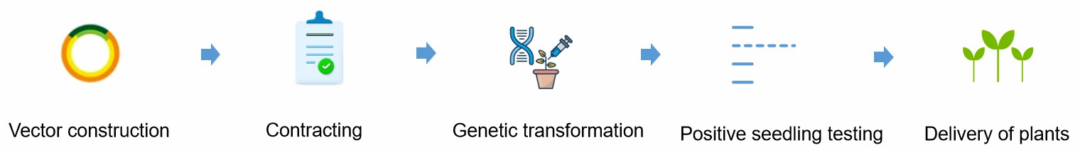 Fig. 2. Our service workflow.