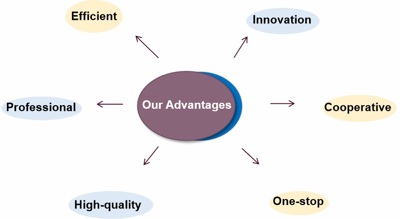 Fig. 2. Why choose us - Lifeasible