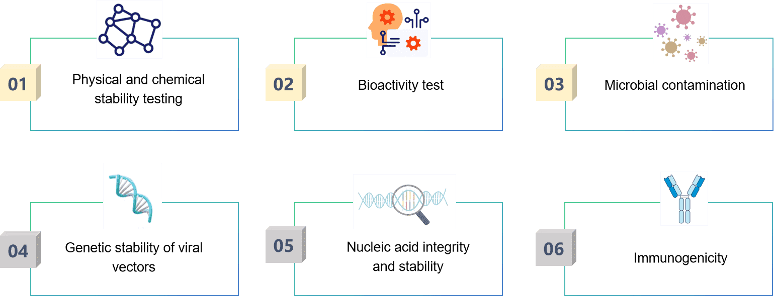 Fig.2 Our process of wheat germ extract cell-free expression.