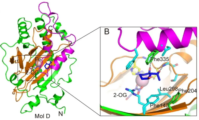 Schematic representation of structure-based artificial evolutionary strategies.